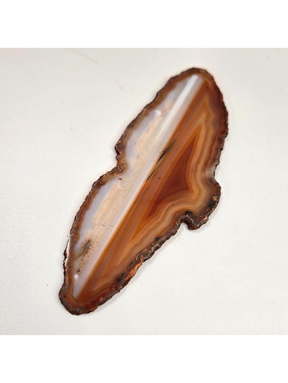 Natural Raw Edge Banded Chalcedony Agate Slice Specimen